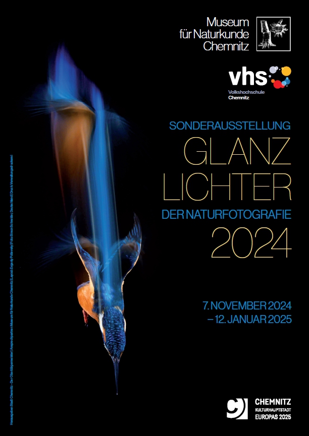 Plakat zur Ausstellung "Glanzlichter"