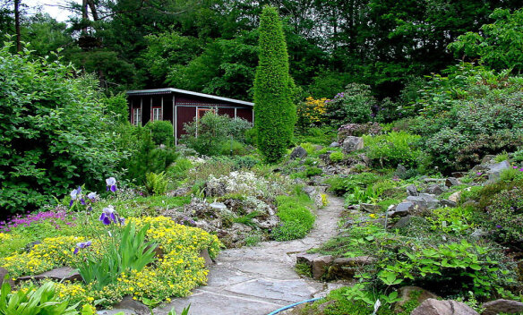 The Arctic Alpine Garden Chemnitz in springtime