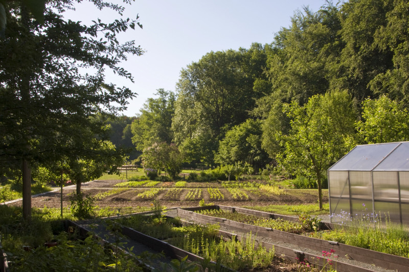 Schulgarten im Botanischen Garten