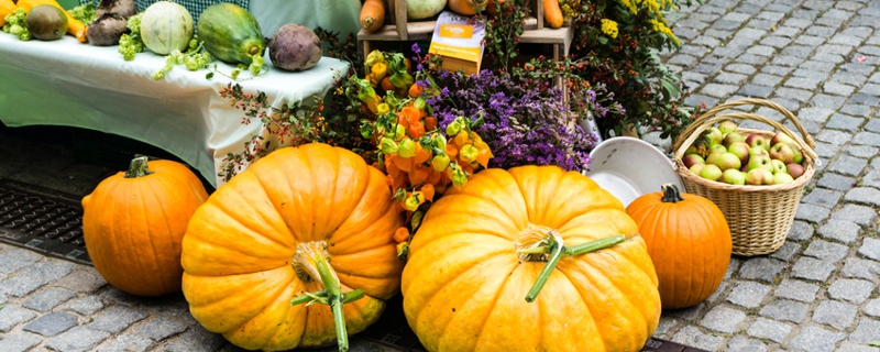 Herbstmarkt