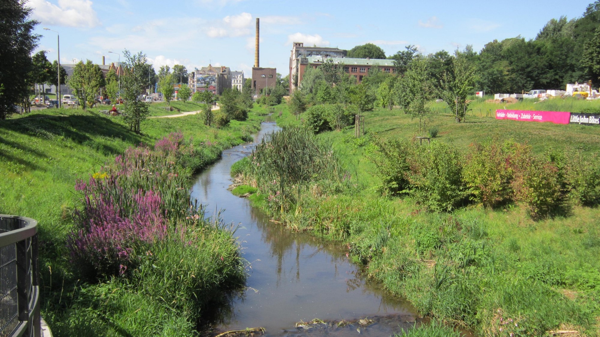 Urban nature including green and blue elements has a positive impact on society and nature 