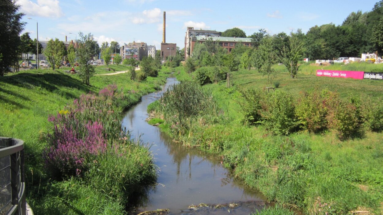 Stadtnatur mit grünen und blauen Elementen wirkt sich positiv auf die Gesellschaft und die Natur aus 