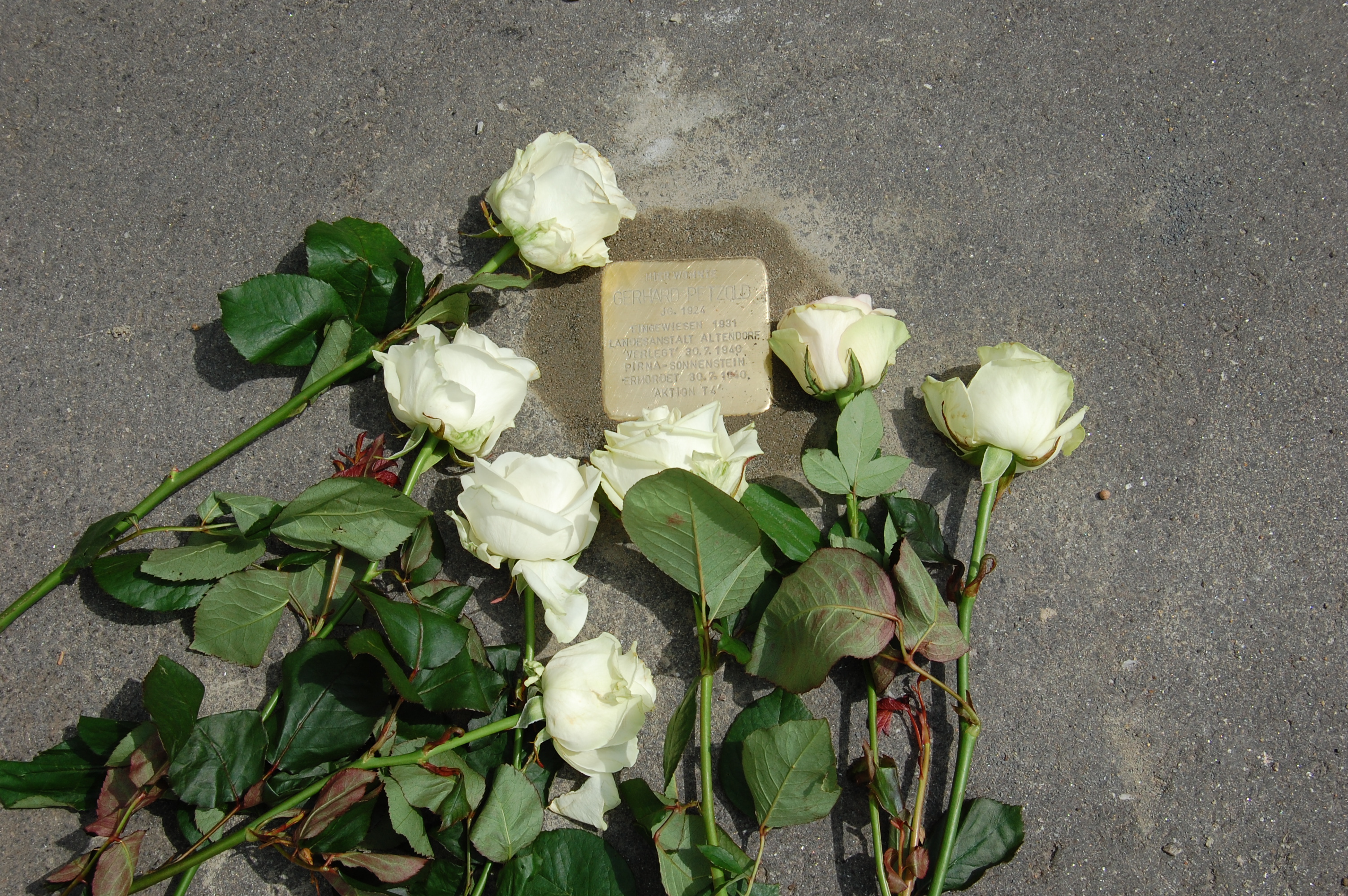 Stolperstein Gerhard Petzold