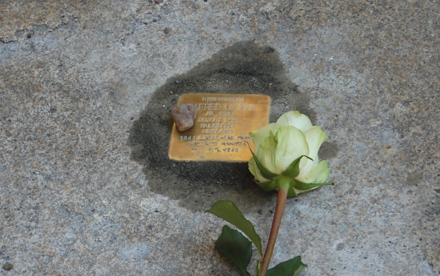 Stolperstein für Alfred Leder