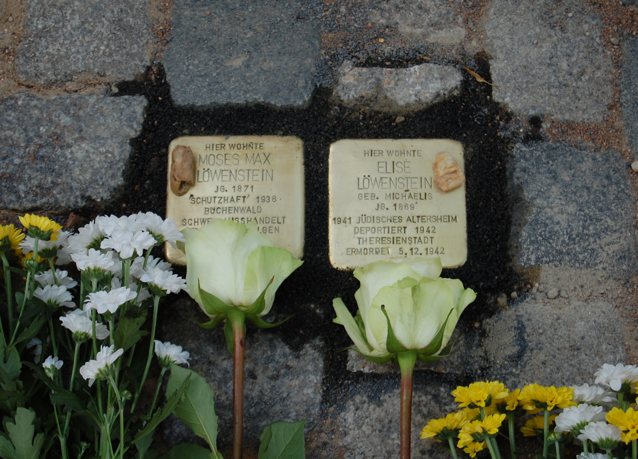 Stolpersteine für Max Moses und Elise Löwenstein