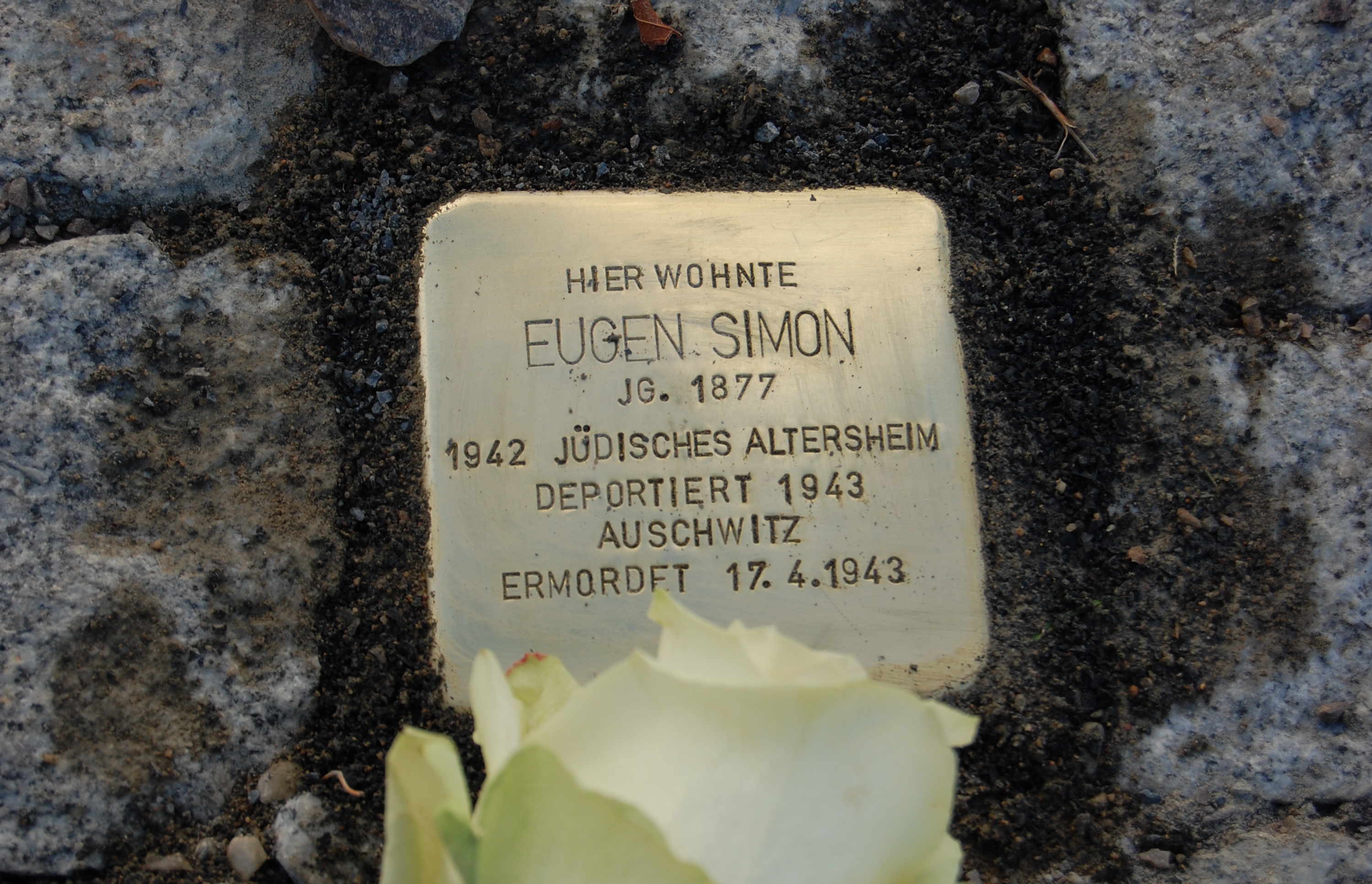 Stolperstein für Eugen Simon