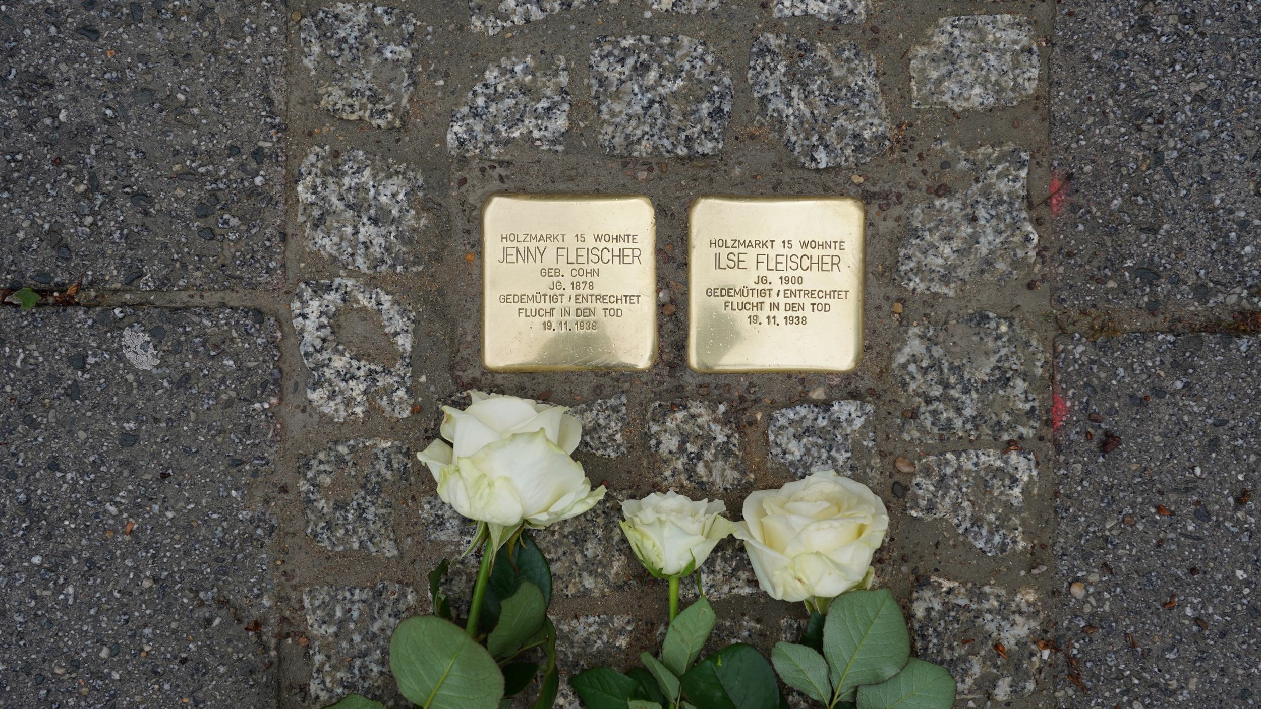 Stolpersteine für Jenny Olga und Ilse Margarethe Fleischer