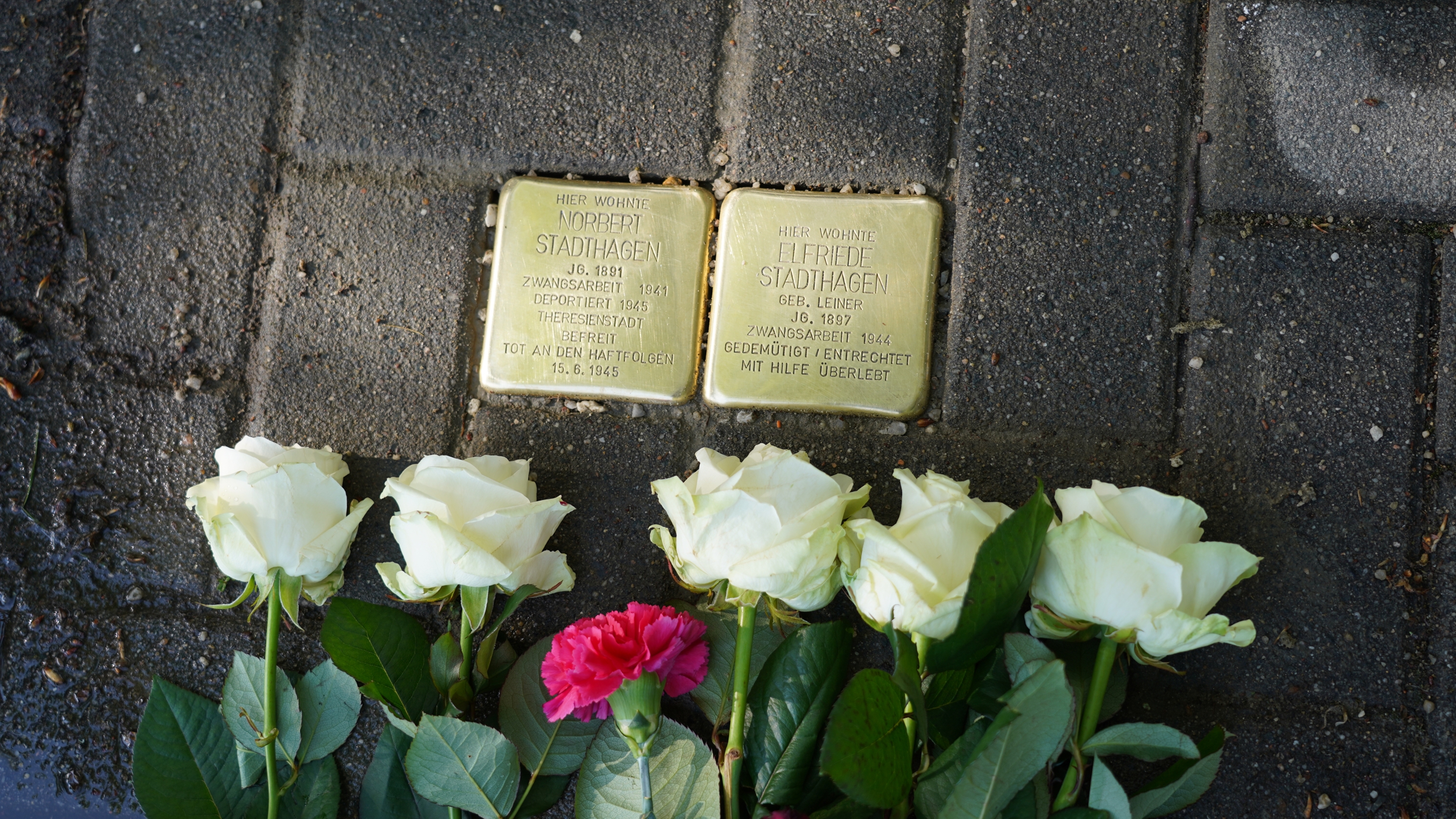 Stolpersteine für Norbert und Elfriede Stadthagen