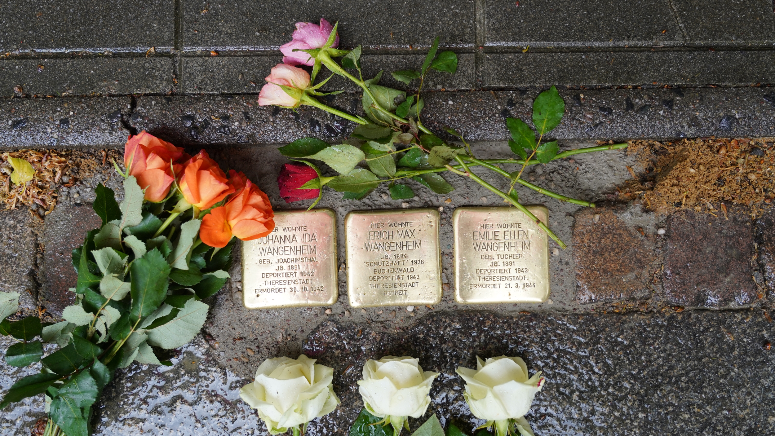 Stolpersteine für Erich, Ellen und Johanna Wangenheim