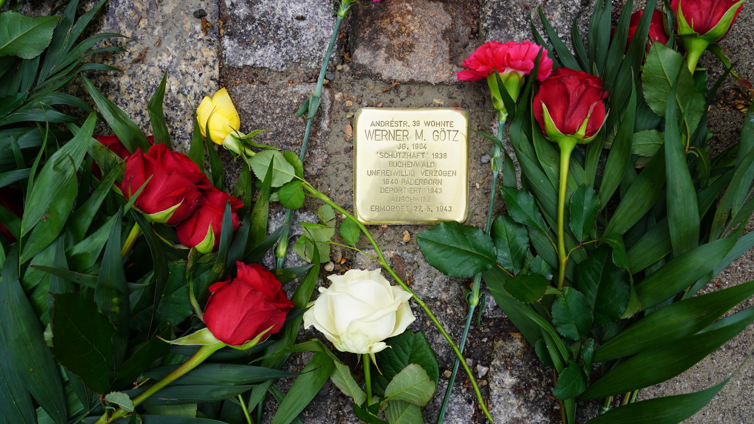 Stolperstein für Werner Michaelis Götz