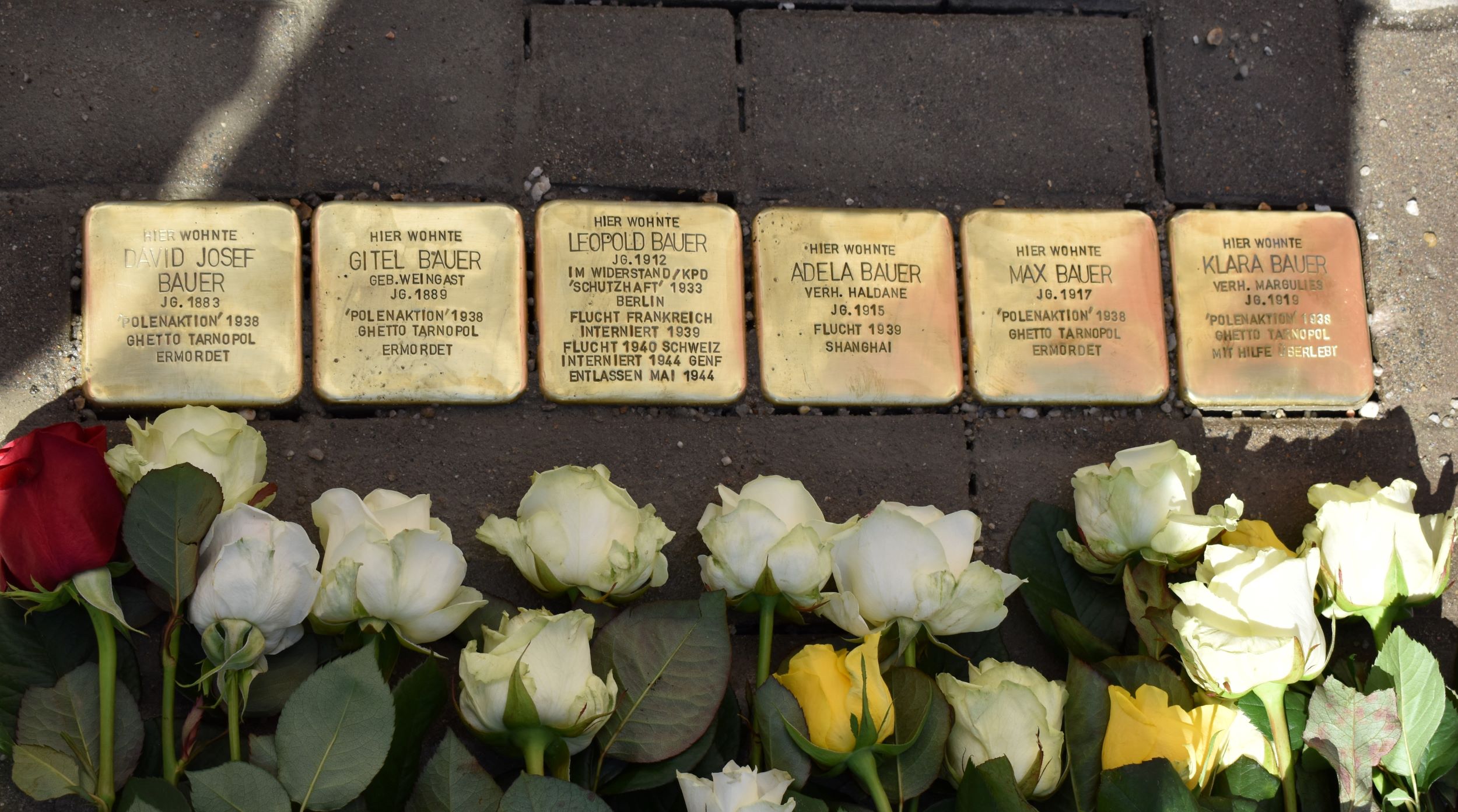 Stolpersteine für Familie Bauer