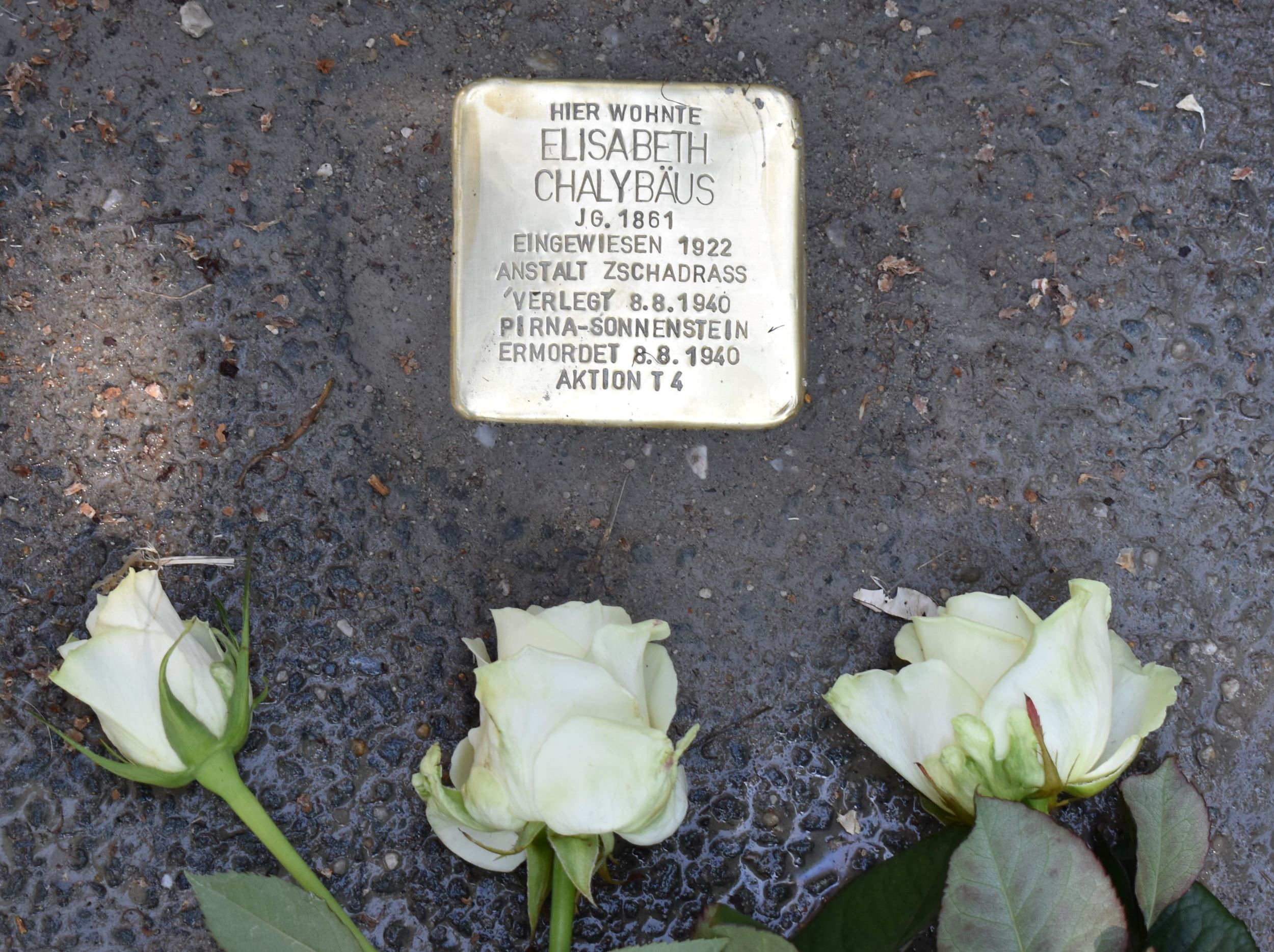 Stolperstein für Elisabeth Chalybäus