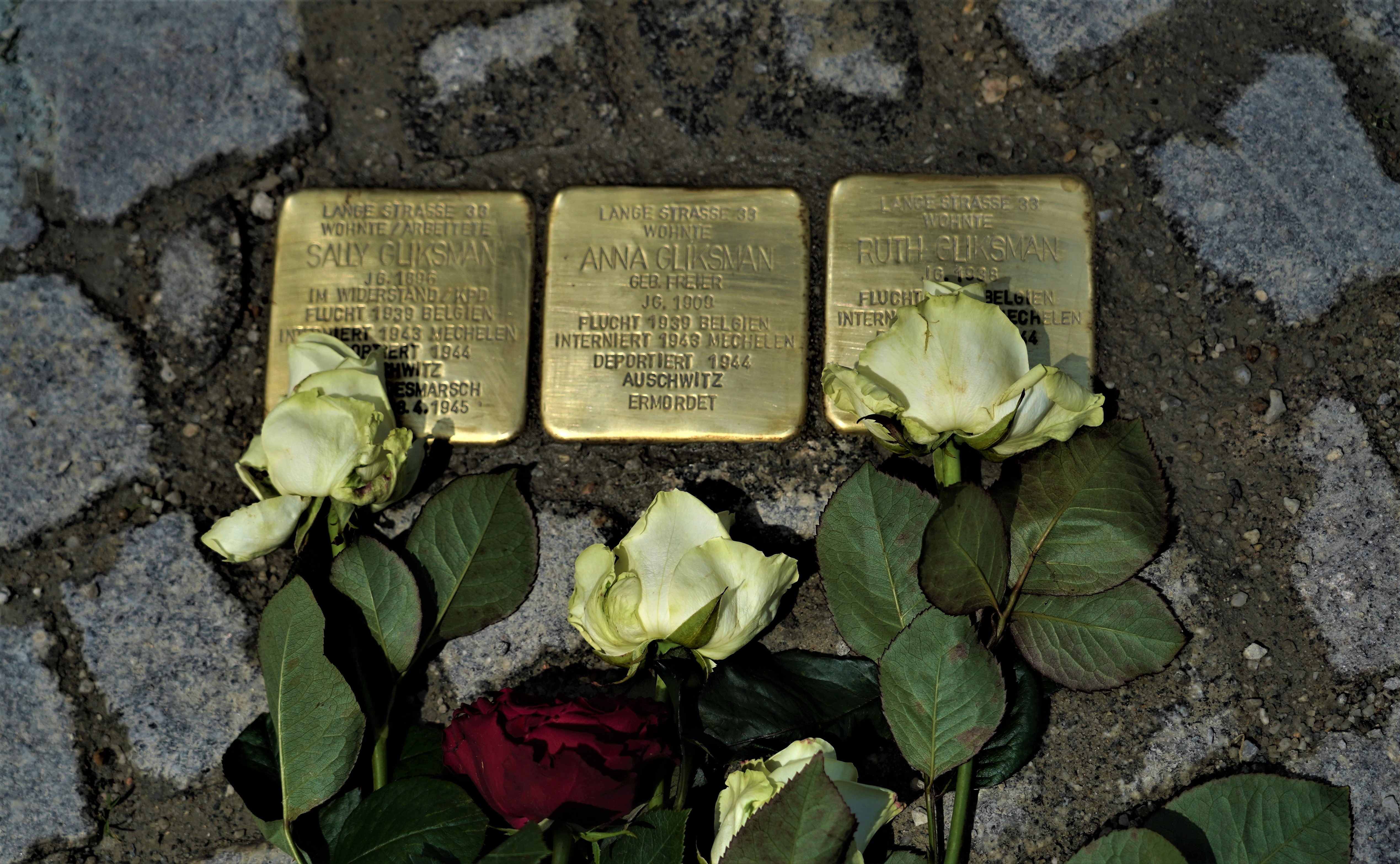 Stolpersteine für Familie Gliksman