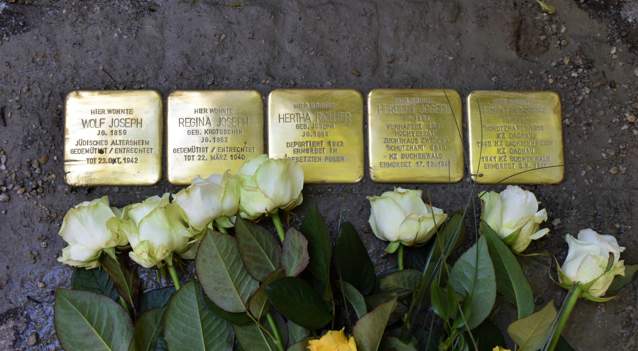 Stolpersteine für Familie Joseph