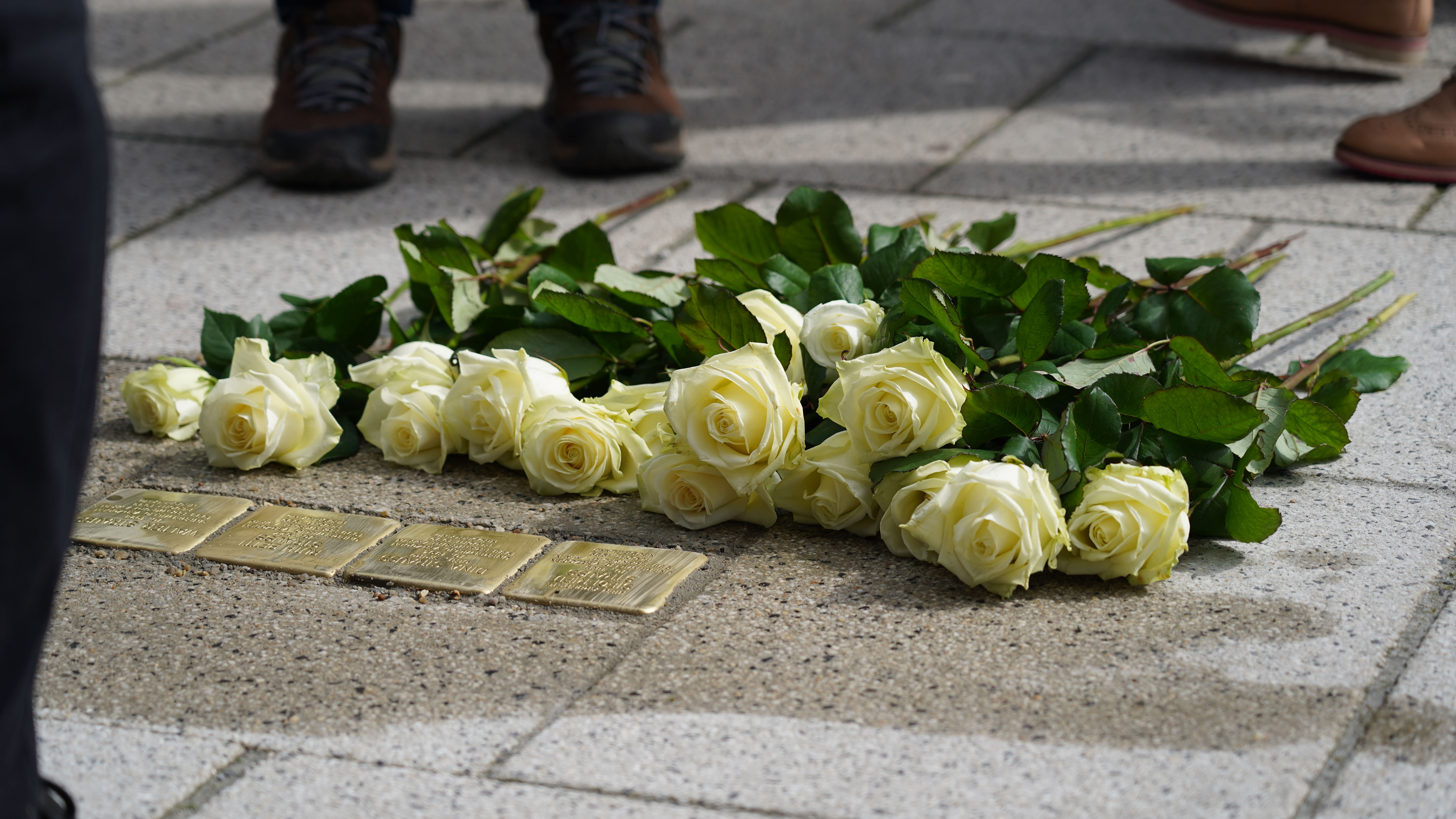 Stolperstein für Familie Strauß