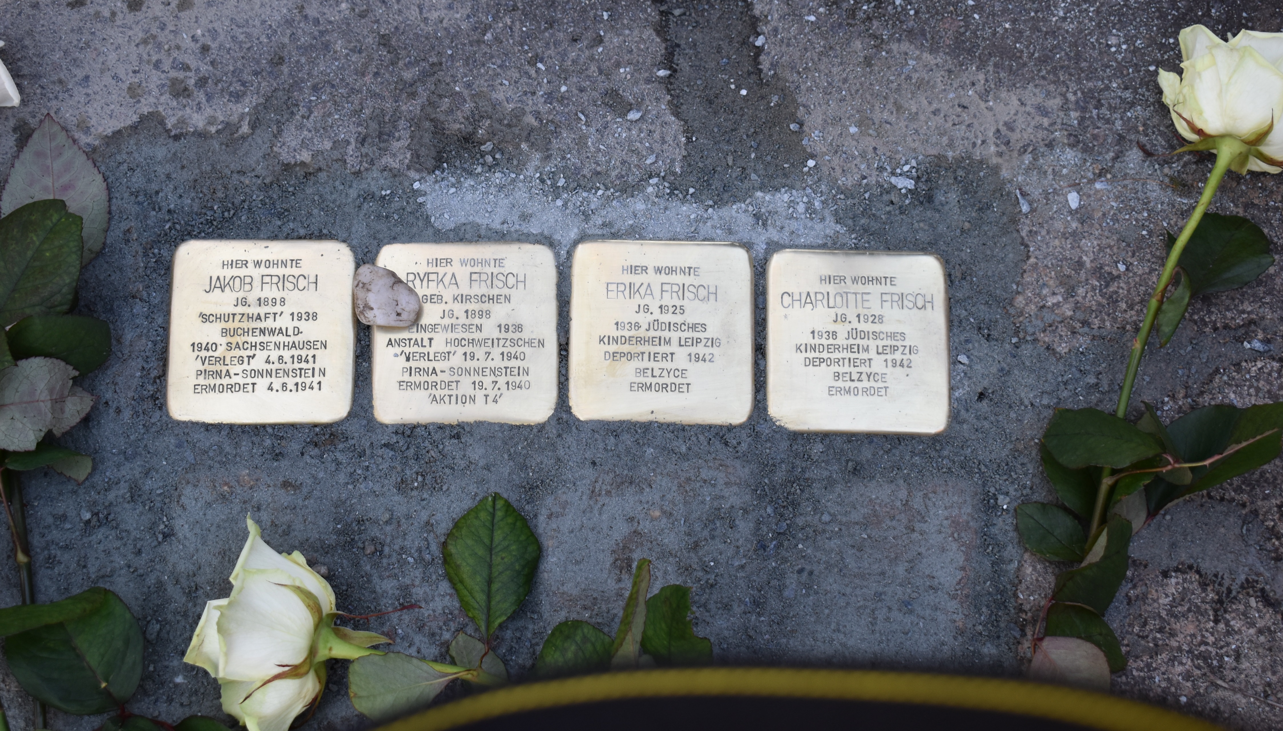 Stolpersteine für Familie Frisch