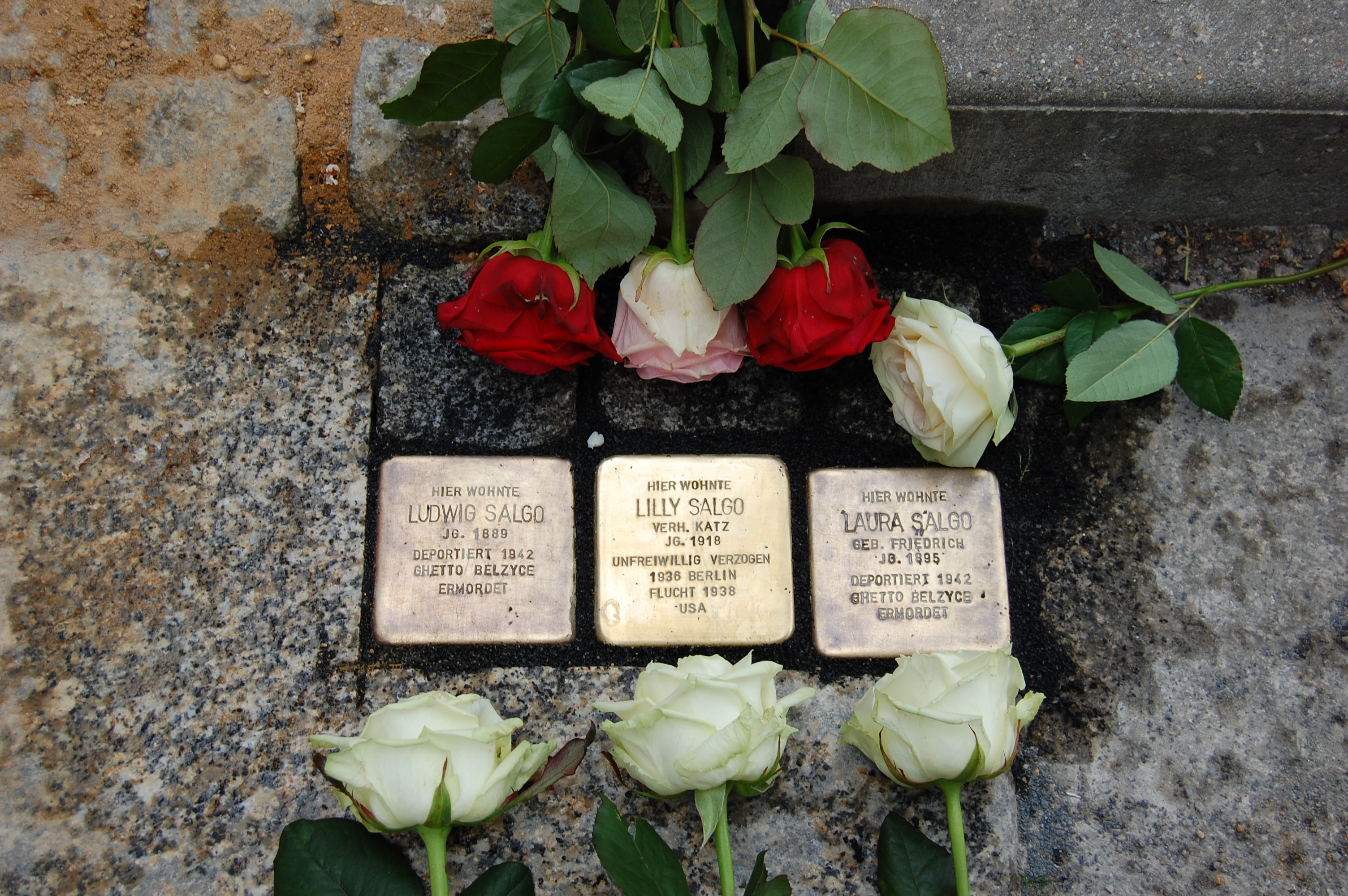 Stolpersteine Familie Salgo