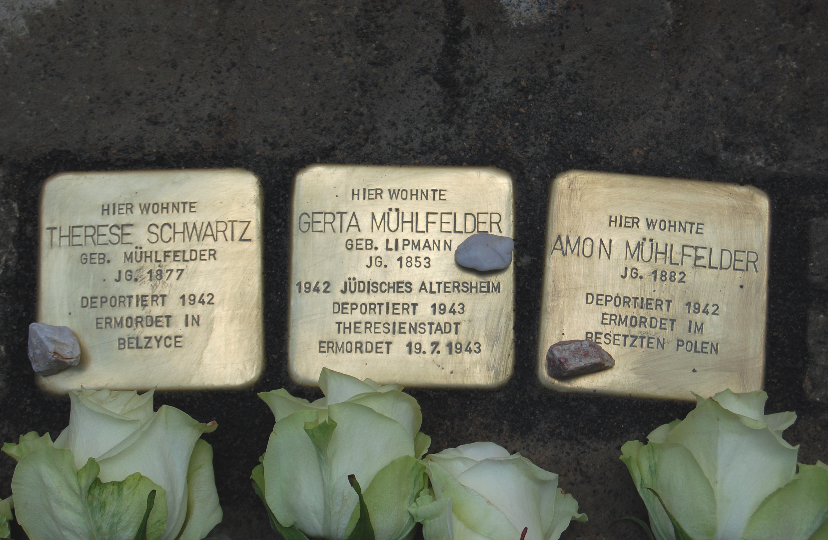 Stolperstein für Therese Schwartz und das Ehepaar Mühlfelder