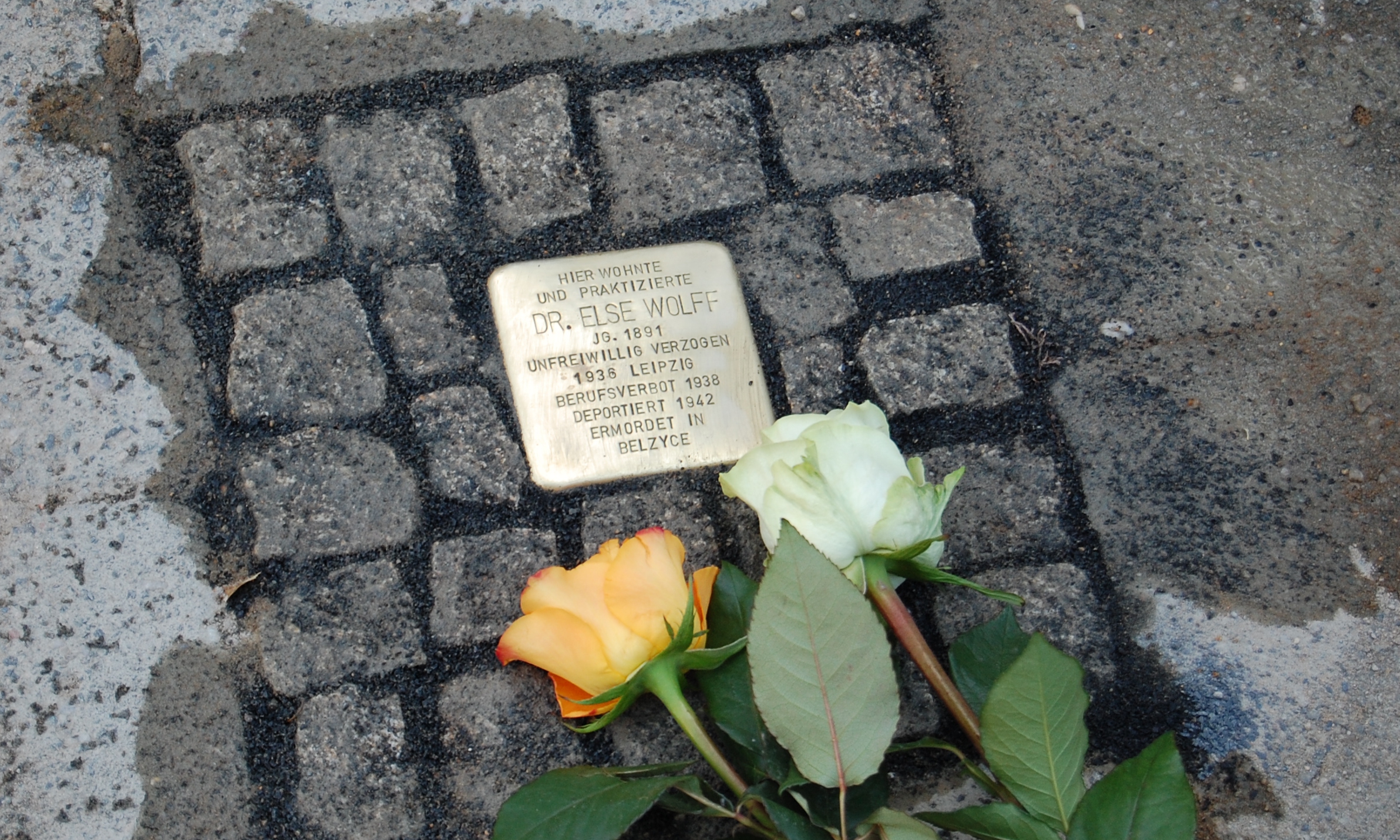 Stolperstein für Dr. Else Wolff