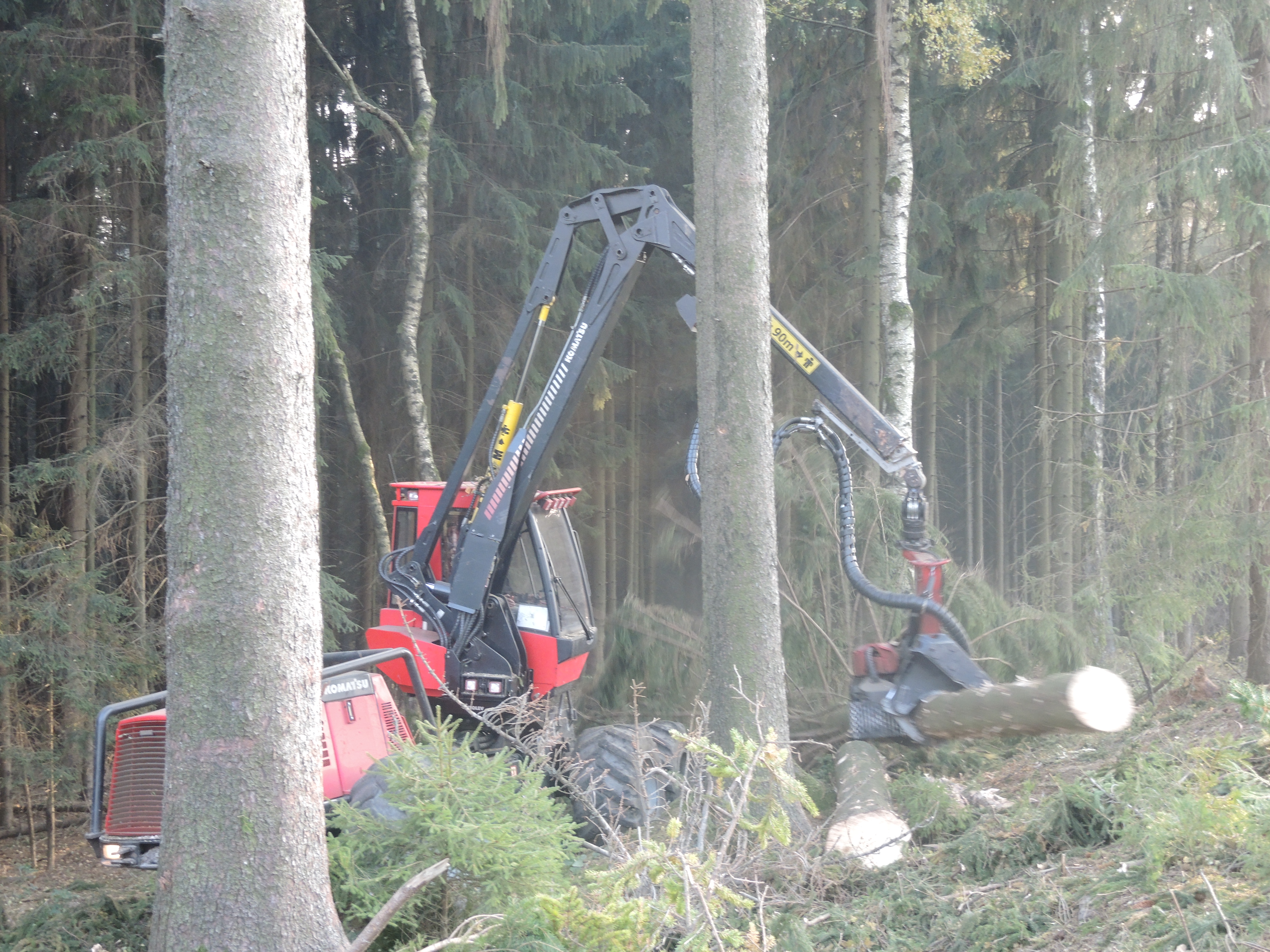 Harvester bei der Aufarbeitung eines Fichtenstammes