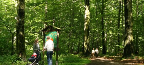 Spaziergänger im Zeisigwald