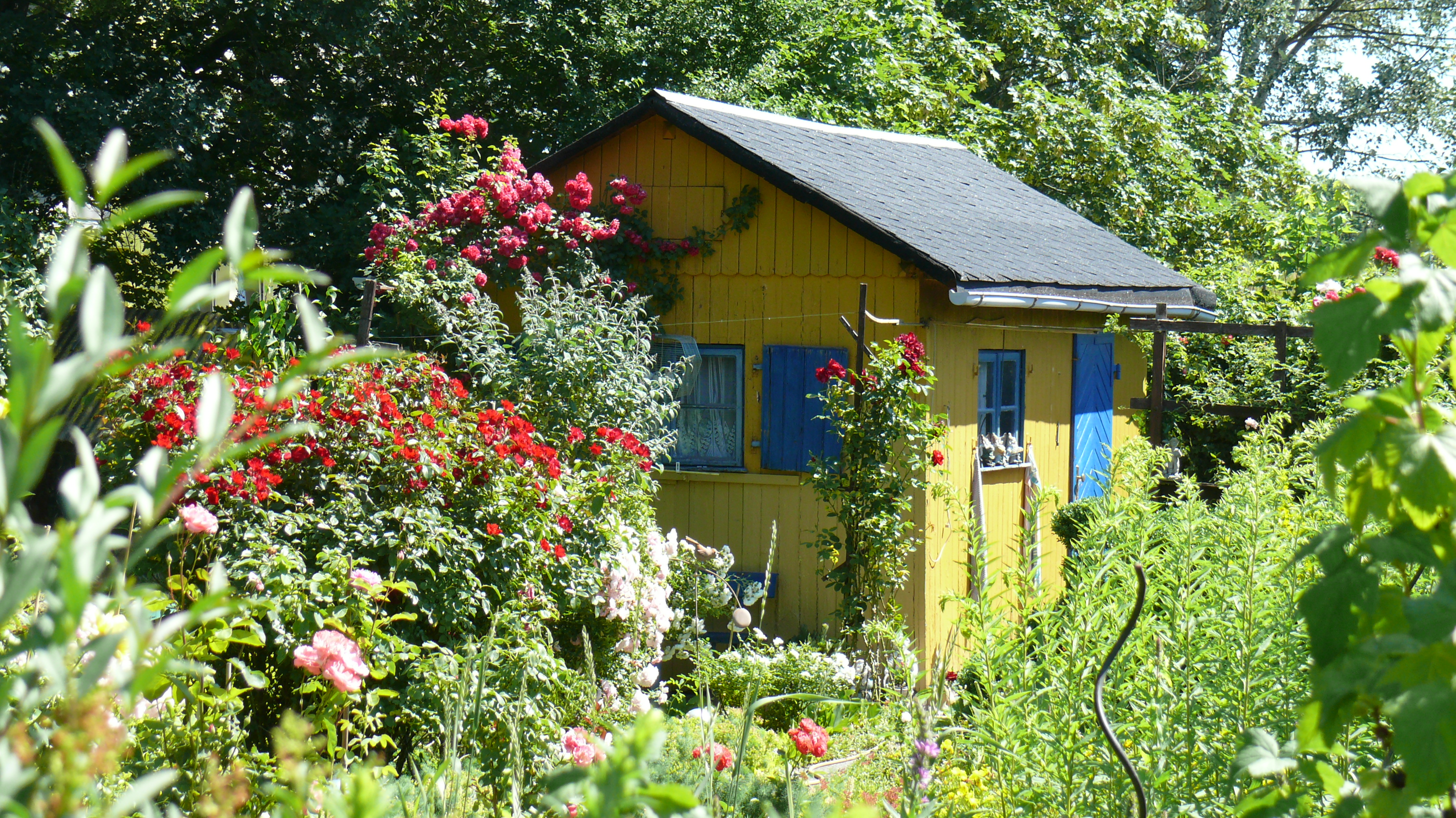 Kleingarten in Chemnitz