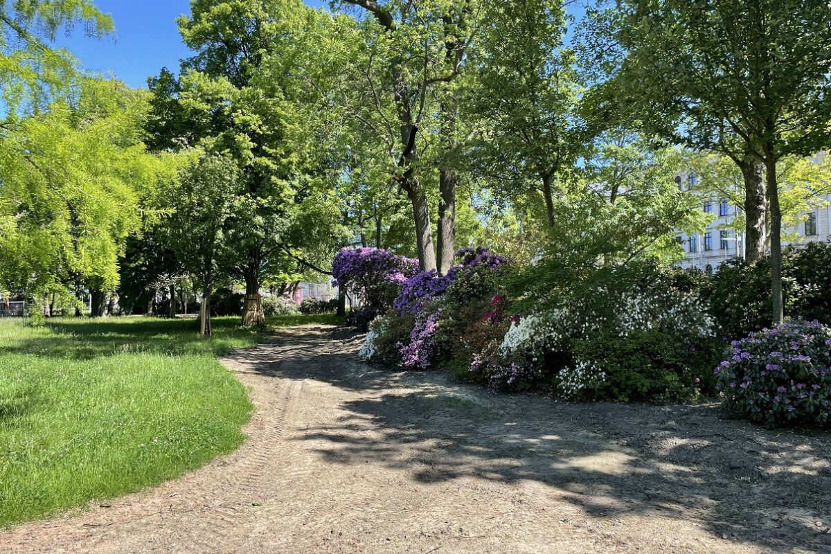 Auf dem Schillerplatz wurden neue Rhododendren gepflanzt.