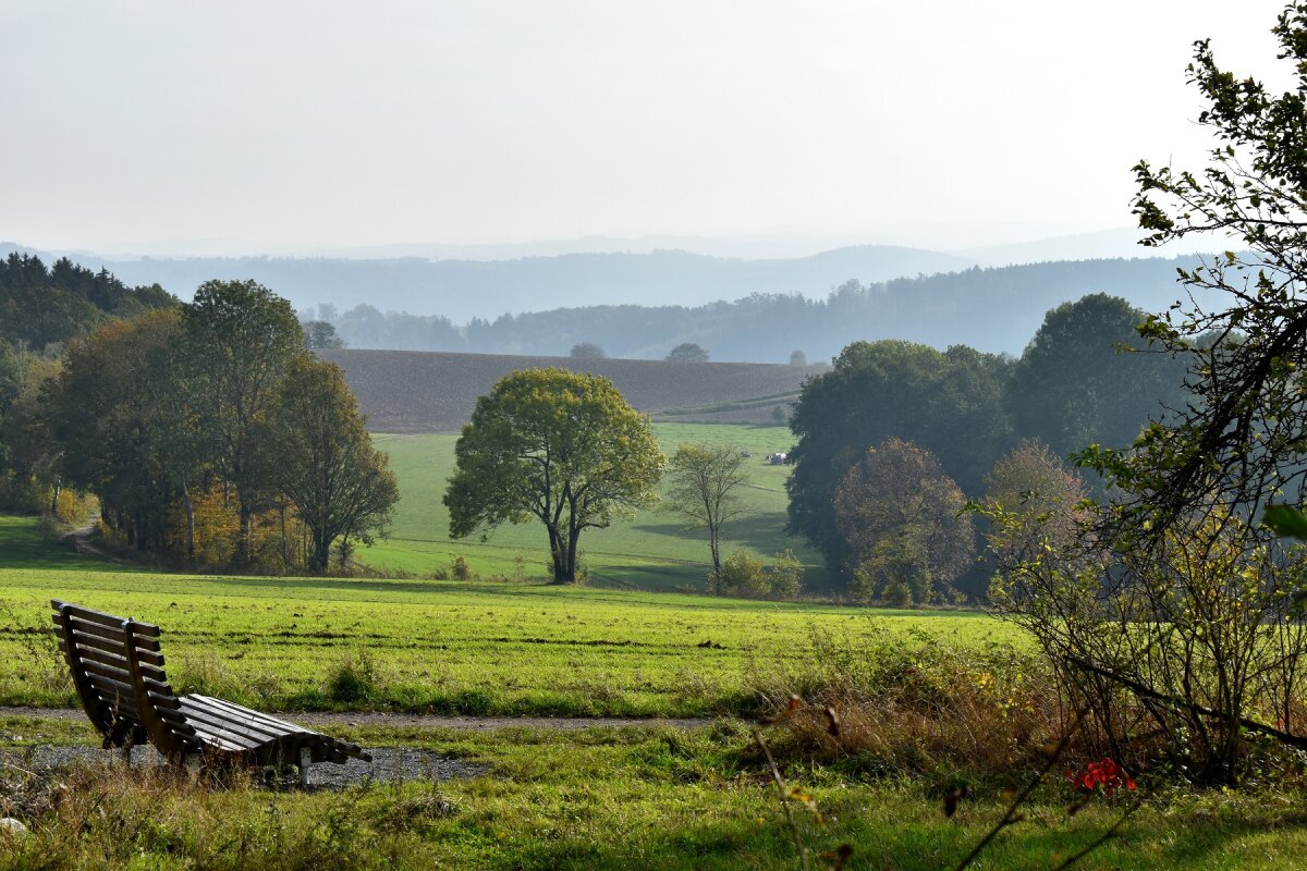 Der Weg führt um die Ortschaft Kleinolbersdorf-Altenhain. 