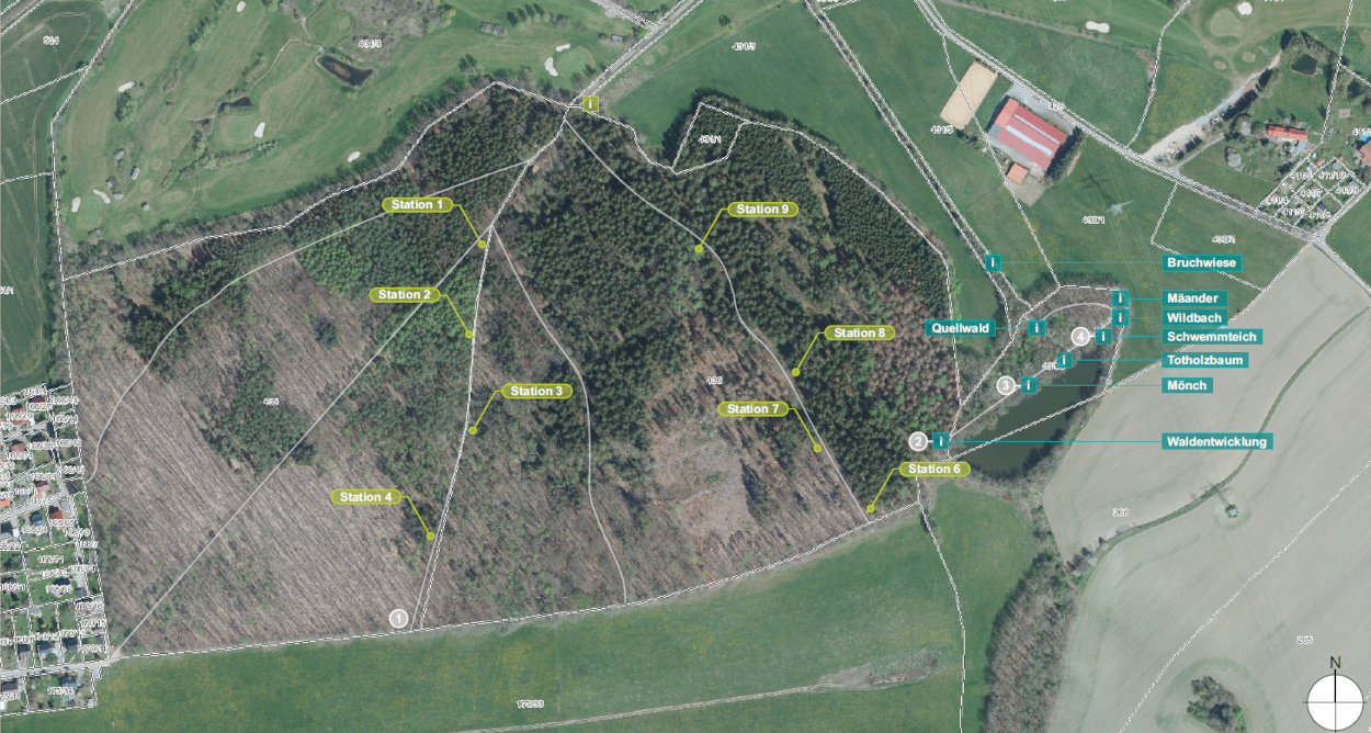 Der künftige Sportpfad im Wald am Wasserschloß