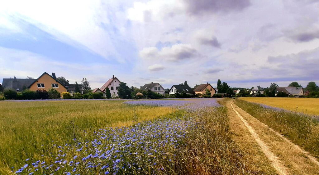 Der Wanderweg in Richtung Meridiansäule.