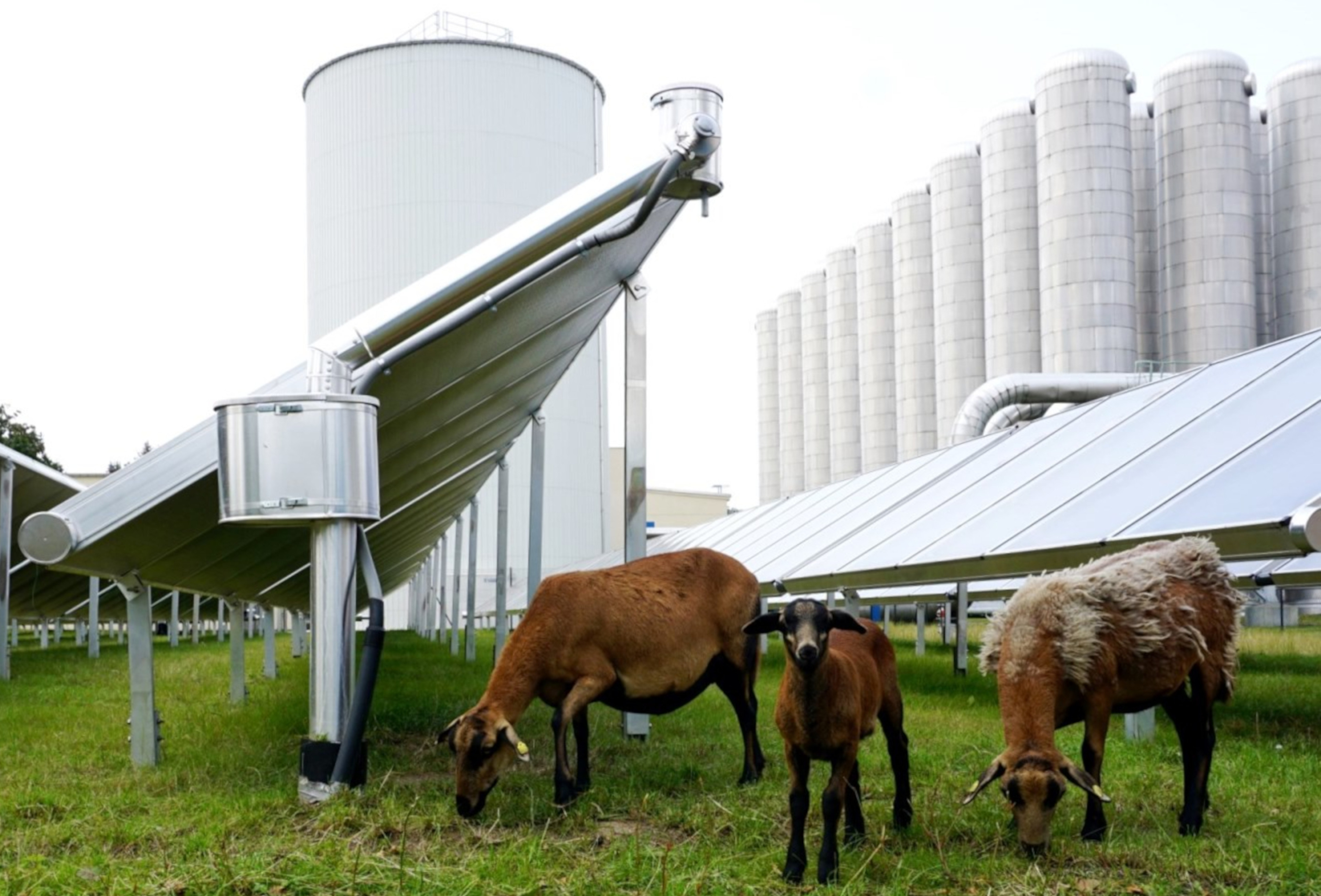 Solarthermieanlage eins