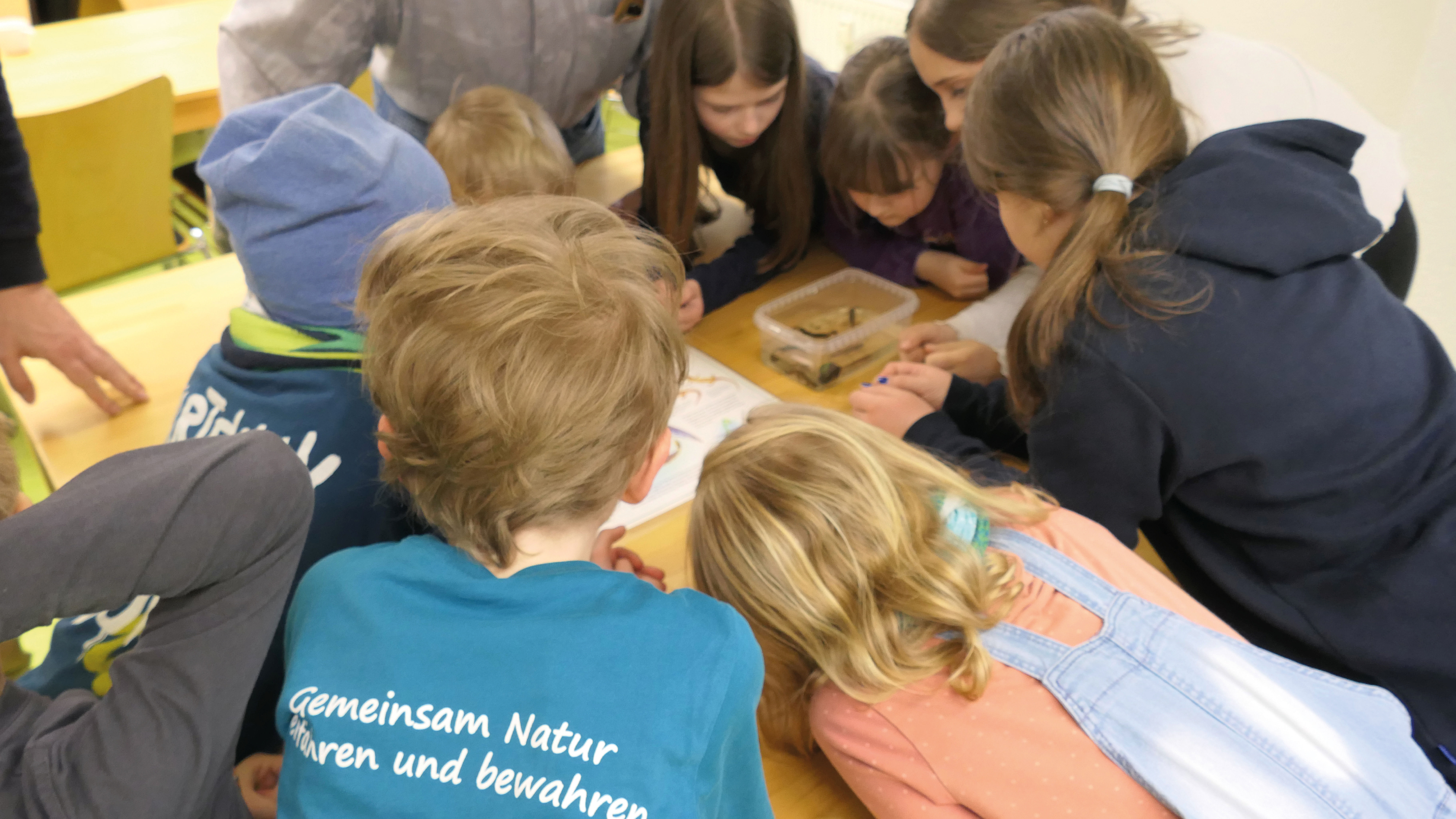 Kinder in der Naturschutzstation