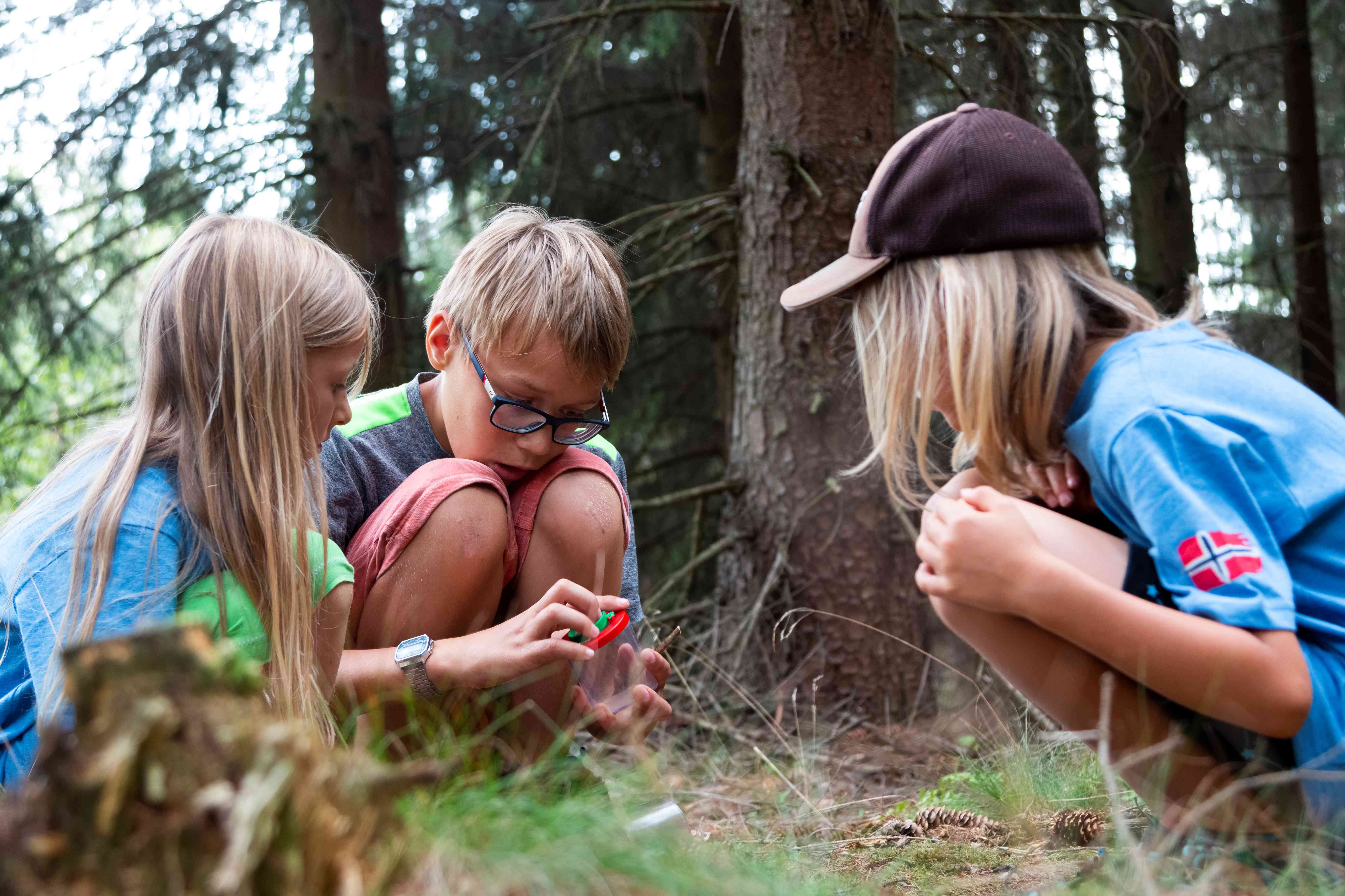 Kinder spielen im Wald