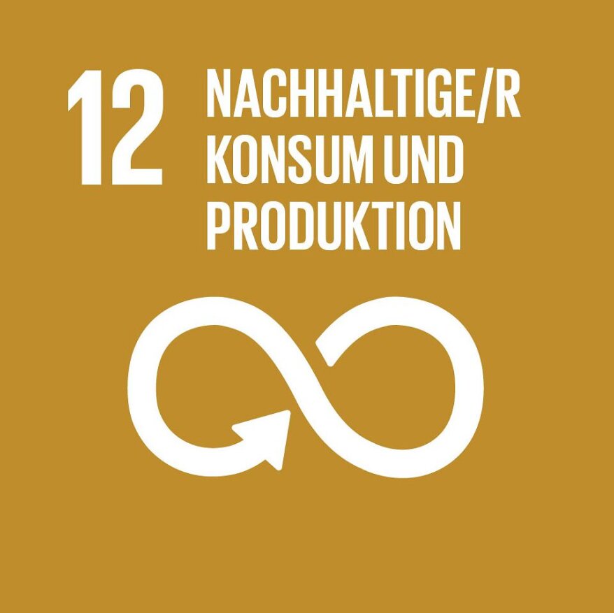 Nachhaltige/r Konsum und Produktion