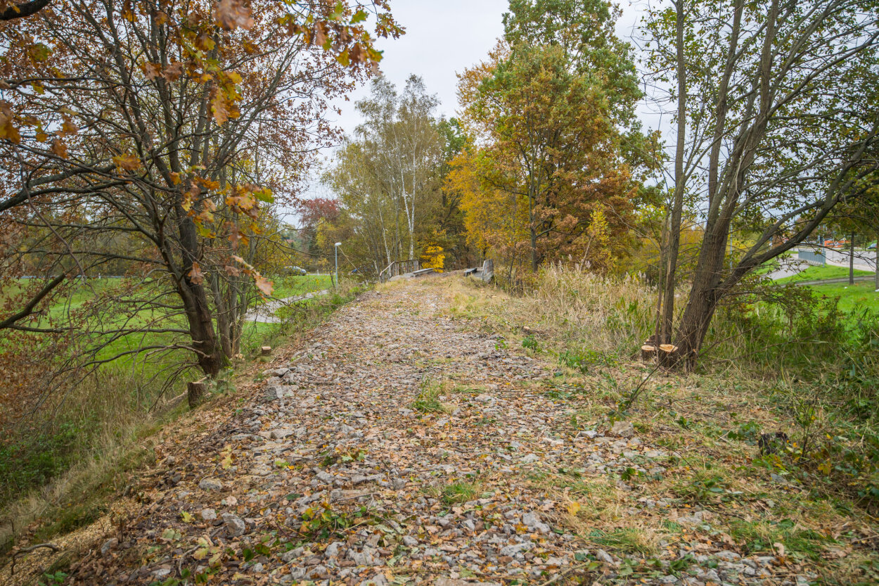 Auf der ehemaligen Bahntrasse werden bald Radfahrer unterwegs sein.